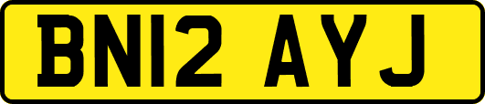 BN12AYJ