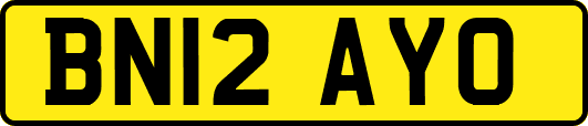 BN12AYO