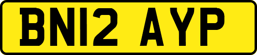 BN12AYP