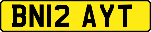BN12AYT