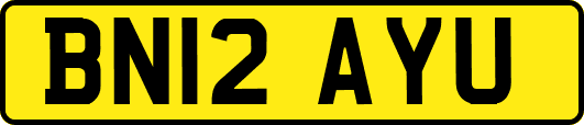 BN12AYU