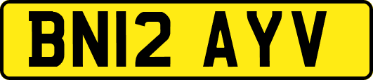 BN12AYV