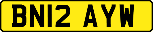 BN12AYW