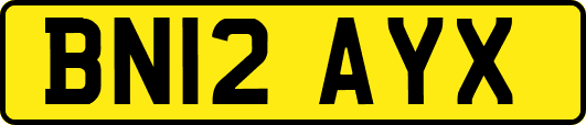 BN12AYX