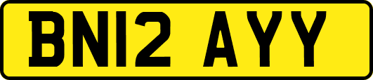 BN12AYY