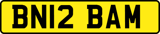 BN12BAM