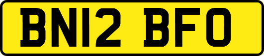 BN12BFO