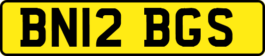 BN12BGS