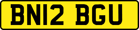 BN12BGU