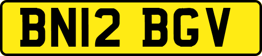 BN12BGV