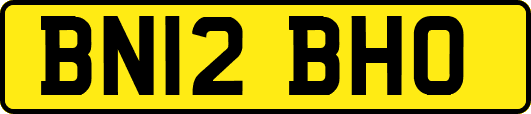 BN12BHO