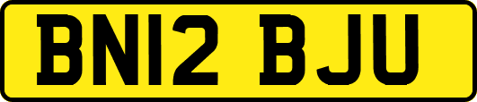 BN12BJU