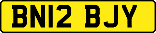 BN12BJY