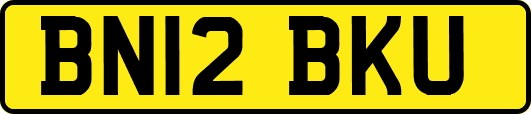 BN12BKU