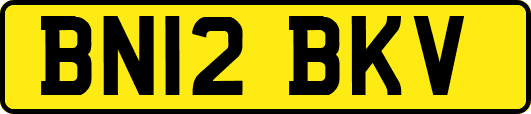 BN12BKV