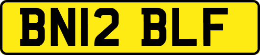 BN12BLF