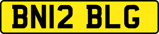 BN12BLG