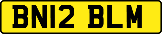 BN12BLM