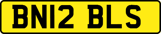 BN12BLS
