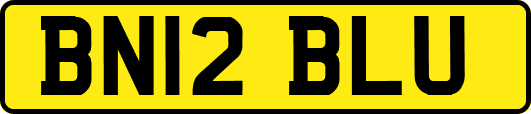BN12BLU