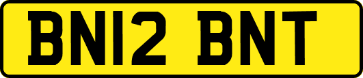 BN12BNT