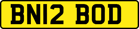 BN12BOD