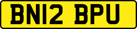 BN12BPU