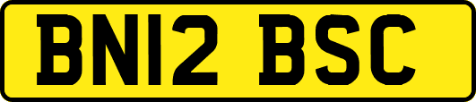 BN12BSC