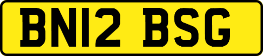 BN12BSG