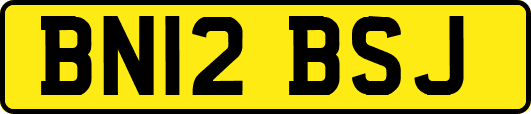 BN12BSJ
