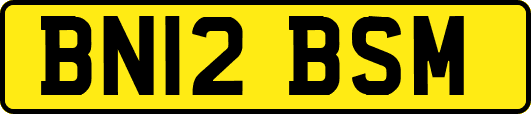 BN12BSM