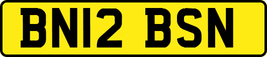 BN12BSN