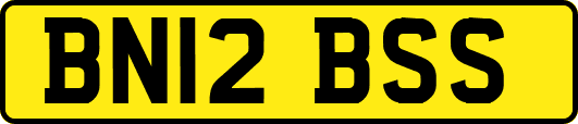 BN12BSS