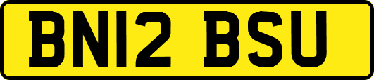 BN12BSU