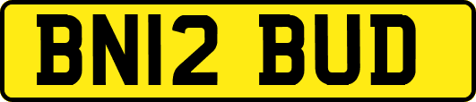 BN12BUD