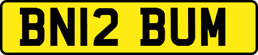 BN12BUM
