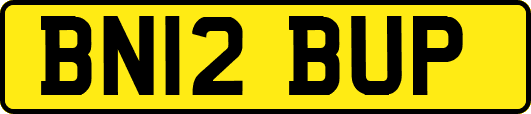 BN12BUP
