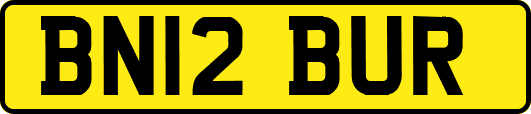 BN12BUR