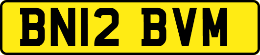 BN12BVM