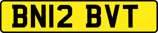 BN12BVT