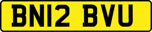 BN12BVU