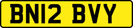 BN12BVY