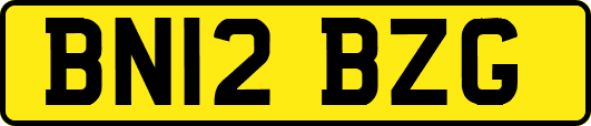 BN12BZG