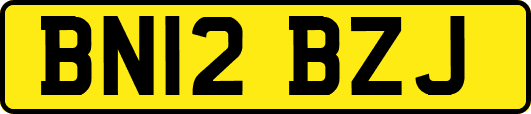 BN12BZJ