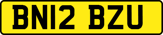 BN12BZU