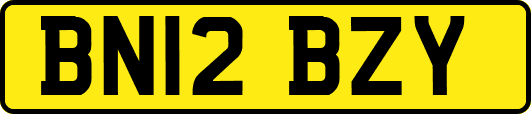 BN12BZY