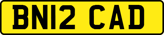 BN12CAD