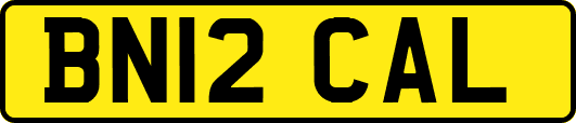 BN12CAL