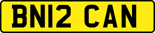 BN12CAN