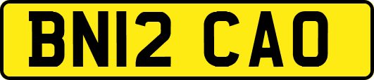 BN12CAO